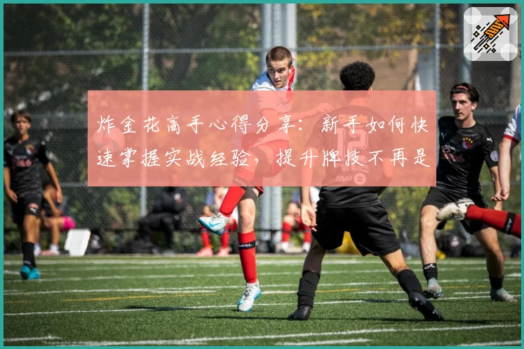 炸金花高手心得分享:新手如何快速掌握实战经验,提升牌技不再是难题