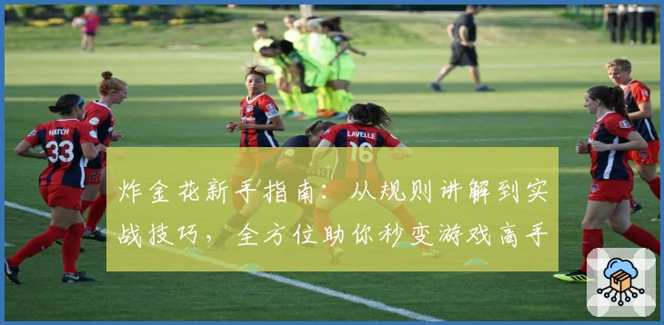 炸金花新手指南：从规则讲解到实战技巧，全方位助你秒变游戏高手