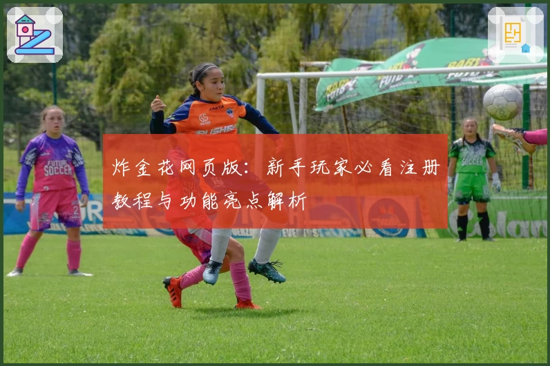 炸金花网页版：新手玩家必看注册教程与功能亮点解析