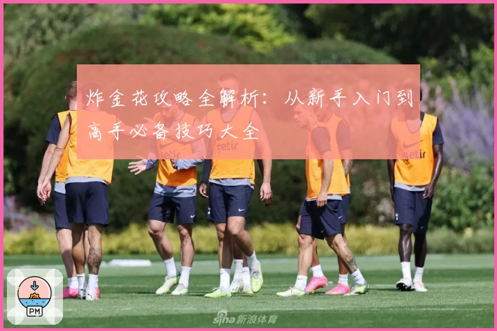 炸金花攻略全解析：从新手入门到高手必备技巧大全
