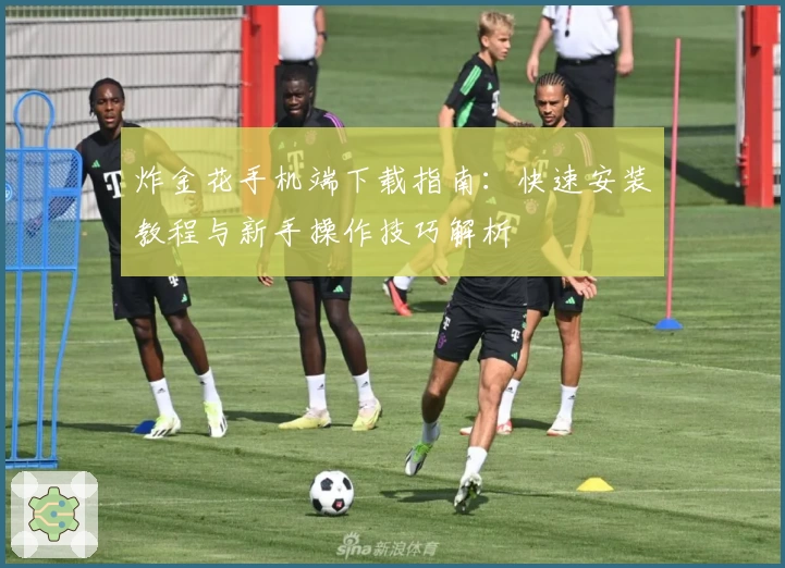 炸金花手机端下载指南：快速安装教程与新手操作技巧解析