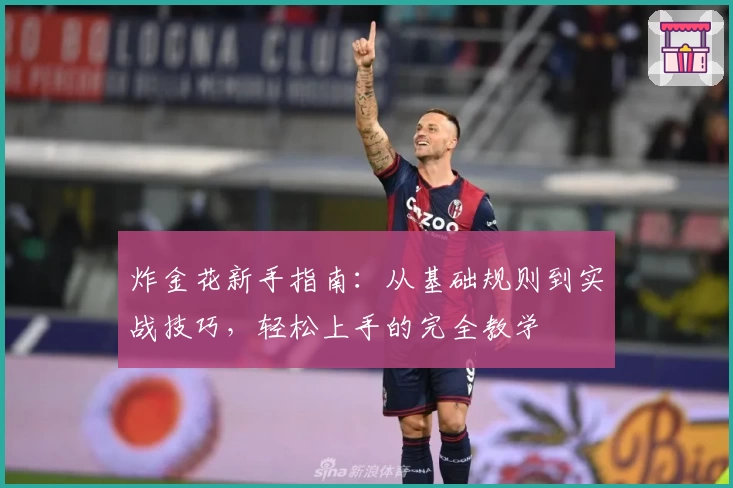 炸金花新手指南：从基础规则到实战技巧，轻松上手的完全教学