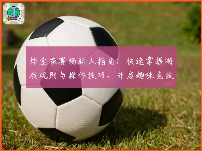 炸金花赛场新人指南:快速掌握游戏规则与操作技巧,开启趣味竞技之旅