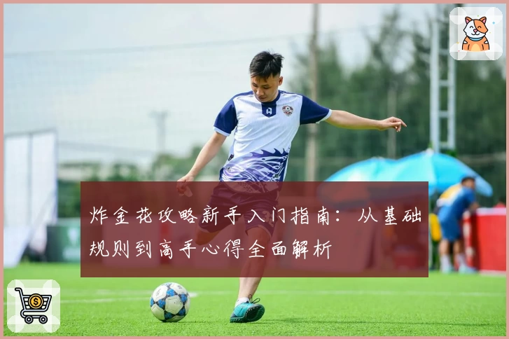 炸金花攻略新手入门指南:从基础规则到高手心得全面解析